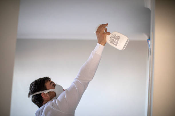 Best Affordable Mold Removal  in Mountain View, NC