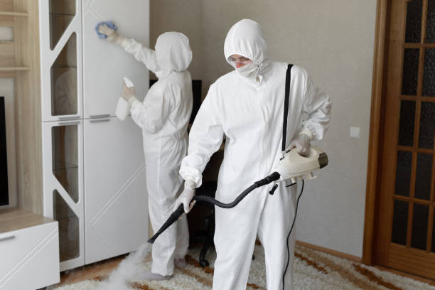 Best Residential Mold Removal  in Mountain View, NC