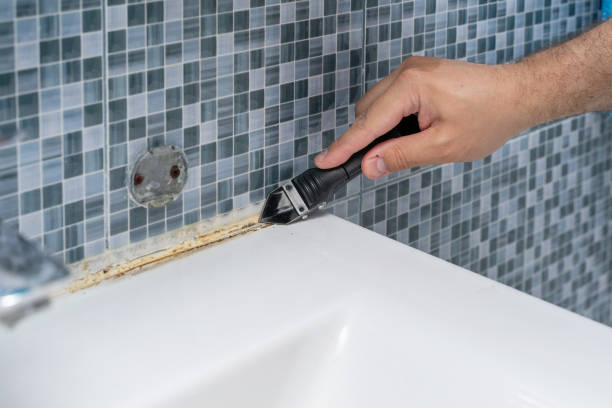 Home Mold Removal in Mountain View, NC